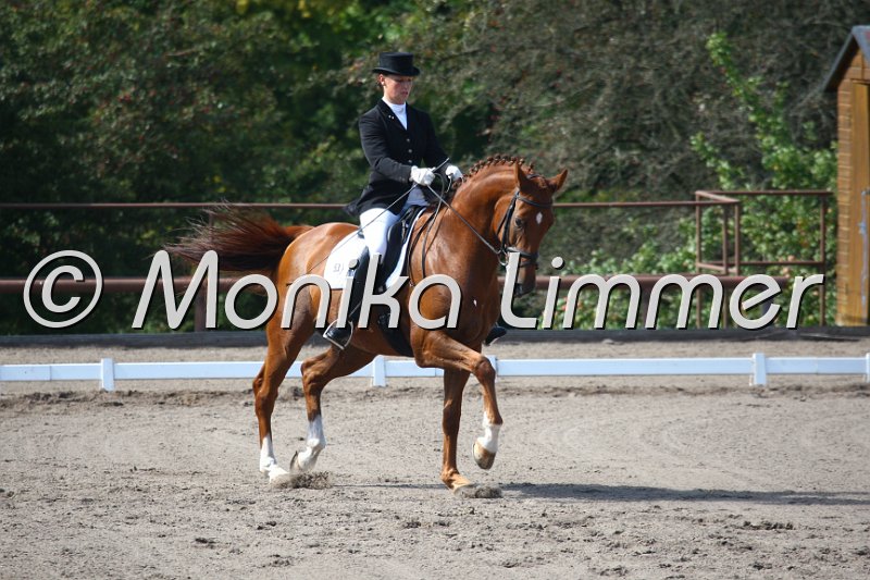 009M4706_Wunderkind_Dressur S Nachwuchs.JPG